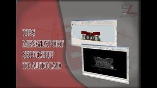 TIPS EXPORT SKETCHUP TO AUTOCAD