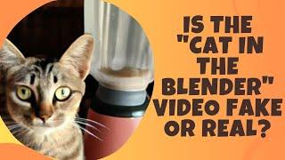 Is the "Cat in the Blender " video fake or real?