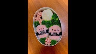 Art Lunchbox Bento Ideas for Kids | #shorts #lunchbox #kidslunchbox #bento | The Tanaka Fam