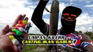 CASTING GABUS UMPAN SOFT FROG APHD-LURE 4,cm || CUACA EXTREM