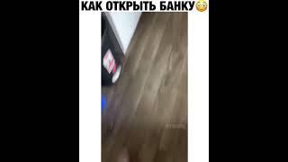 Как открыть банку