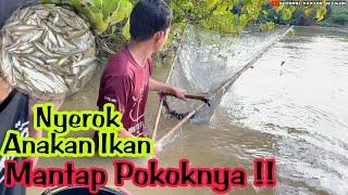 NYEROK IKAN PADA SAAT IKAN MUDIK || DKO MENCARI IKAN DI SUNGAI TELEN || RANTAU PANJANG