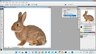 Photoshop NVQ Practical Paper rabbit world Sinhala Lessons