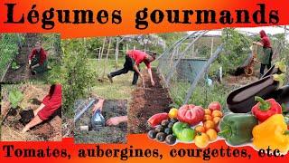 Légumes gourmands. Tomates, aubergines, courgettes, etc.