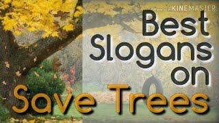 28 Best Slogans on SAVE TREES (Save Trees, Save Earth) in English