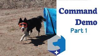 Border Collie Command Demo / Part 1