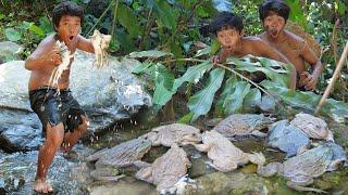 Primitive Wildlife - Cacth and roasted frogs in the rainforest - Eating delicious