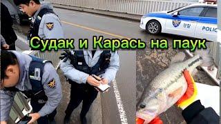 Рыбалка на паук. Приехала ПОЛИЦИЯ! Выпишут ШТРАФ? или ДЕПОРТИРУЮТ? #рыбалка #fishing