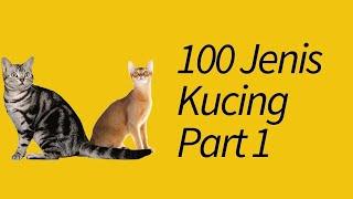 100 Jenis Kucing di Seluruh Dunia! Part 1