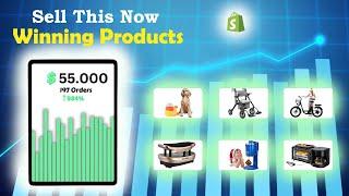 Sell This Now!  Winning Dropshipping Products to Earn $55K/Month 