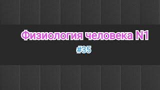 Физиология.Регуляция сердце. Закон Франк-Старлинга и Эффект Анрепа. ВПР. #35