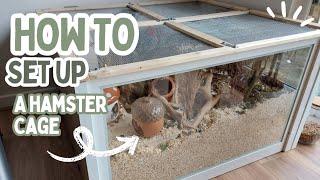 How To *ACTUALLY* Set Up your Hamster's Cage