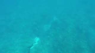 Freediving - Be Free With Me