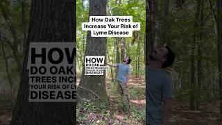 How Oak Trees Increase Your Risk of Lyme Disease #naturalist #natureeducation #forestecosystem #lyme