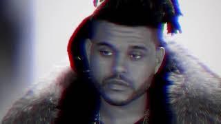 The Weeknd - In Vein ft. Rick Ross (Music Video)