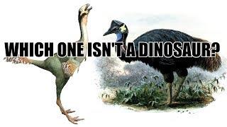 Are Birds Dinosaurs  A Debate with Kent Hovind (Audio Remaster)