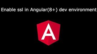 How to enable ssl in angular webapp development environment (version 8+)