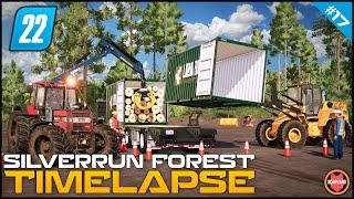  Selling Planks & Other Materials, Began Building Roller Coaster ⭐ FS22 Silverrun Forest Timelapse