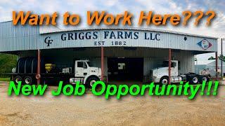 Job Opportunity at Griggs Farms!!!