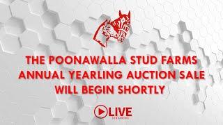Poonawalla Stud Farms Annual Yearling Auction Sale 2023