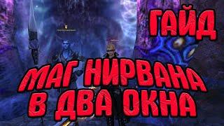 ГАЙД ПО ФАРМУ МАГ НИРВАНЫ В ДВА ОКНА | ФАРМ в Perfect World | Comeback PW 1.4.6