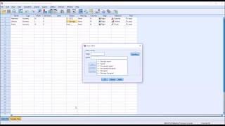 Levels of Measurement in SPSS (Nominal, Ordinal, & Scale)