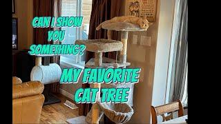 Best Cat Trees & Condos (Our Favorite) Feandrea