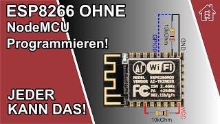 ESP8266 Programmieren OHNE Node-MCU Board | #EdisTechlab