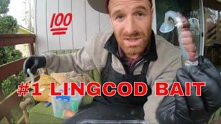 Lingcod Fishing Off The Jetty - The ONLY BAIT YOU NEED To Throw