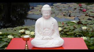 Shamatha-Geistesruhe-Meditationsstunde - 14.3.2024 - Yesche