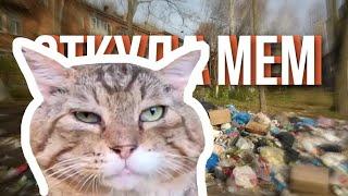 Кот носок | откуда мем?