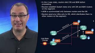 42 The Designated Router in the OSPF Synchronization Process