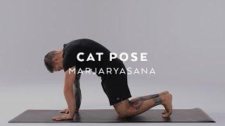 How to do Cat Pose | Marjaryasana Tutorial with Dylan Werner
