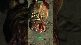 I never noticed how big Yao Guai teeth are until I took a closer look(Who's their Dentist) #fallout3