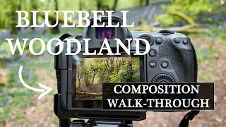 What Did You Miss? Composition Walk through for Landscape Photography