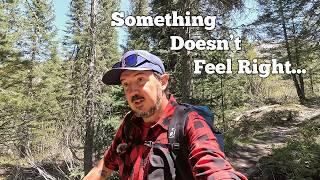 Backpacking in Grizzly Country ...and Tales of Close Encounters