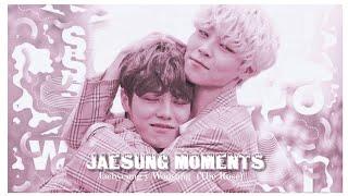 Jaesung Moments. (The Rose)