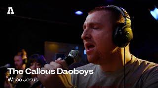The Callous Daoboys - Waco Jesus | Audiotree Live