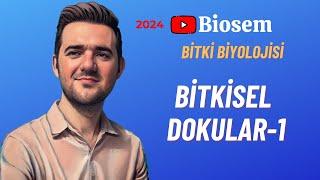 Bitki Biyolojisi | Bitkisel Dokular-1 Konu Anlatımı 12. Sınıf Biyoloji