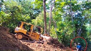 Amazing! Bulldozer D6R XL Operator Tries to Push The Many and Big Tree, What will Happen?