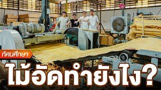 How to make Plywood?- TGC Field Trip