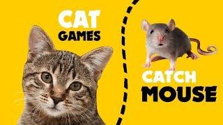 CAT GAMES  FAST MOUSE HUNT on screen