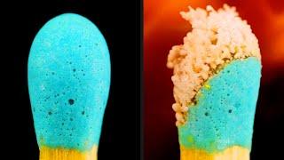 Microscopic View of a Burning Match