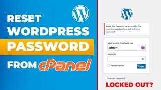 How to Reset WordPress Admin Password Using CPanel - (PhpMyAdmin Easy Method) [2024]