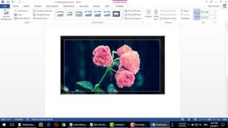 How to Crop an Image in Microsoft Office