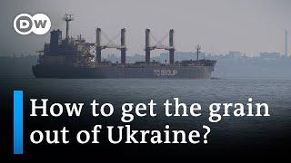 Ukraine considering alternative grain export routes | DW News