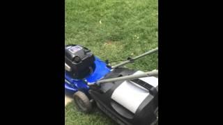Victa lawn mower