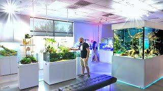 Fish Tanks Like You've NEVER SEEN Before!!! INSANE Aquarium Store Tour (ADG, Texas)