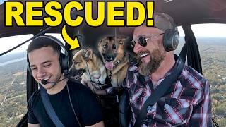 RESCUING Two Dogs….  Freedom Flight.