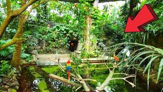 Rainforest Pyramid At Moody Gardens Galveston Texas Tour